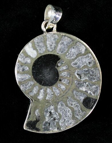 Large Pyritized Ammonite Fossil Pendant - Sterling Silver #20999